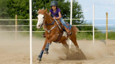 What are the different types of patterns used in gymkhana events?