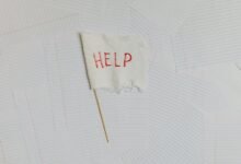 contact business help line