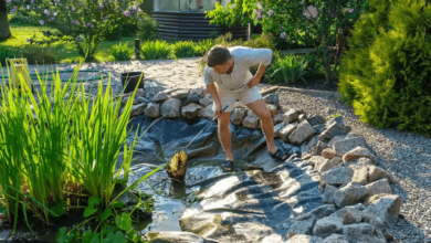 Cleaner Pond