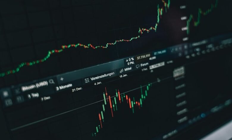 premium business insights report