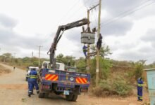 apex relay dock service