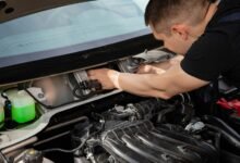 background check alerts issued