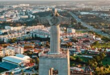 verified safety lookup results